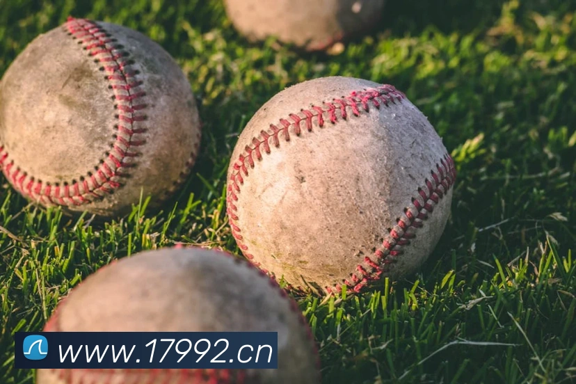 半岛网页版登录入口平台生态图